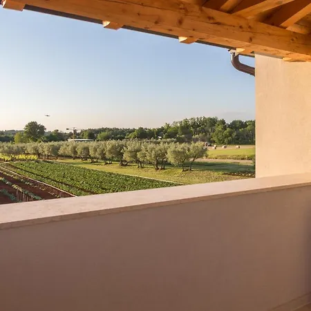 Villa Villa Nuccia Brtonigla